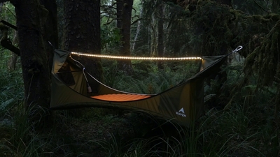 vw6nEu5VFRrs7K2kP39k.jpg?w=940&h=940