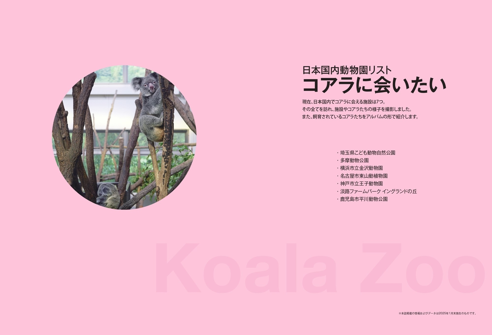 コアラに会いたい