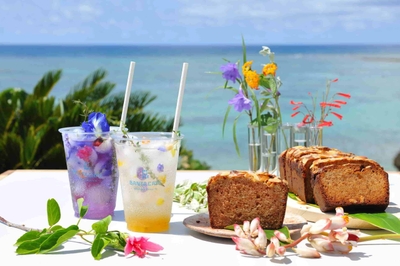 vwUoMvcCRHnGTw9PGm8J.jpg?w=940&h=940