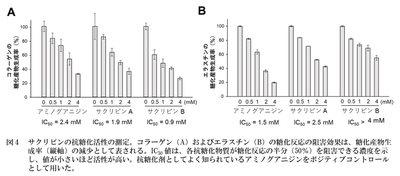 vxTH2VsFQOJM0OkcSLTj.jpg?w=940&h=940
