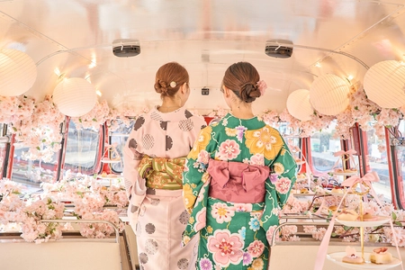 【売切御免】今年もやりますお花見ツアー