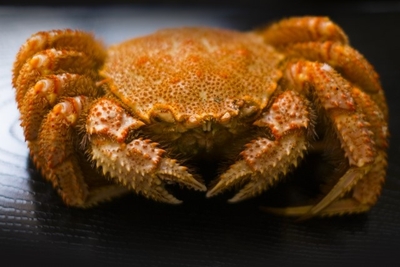 vy3hQgFwvOFthrI1lF5v.jpg?w=940&h=940