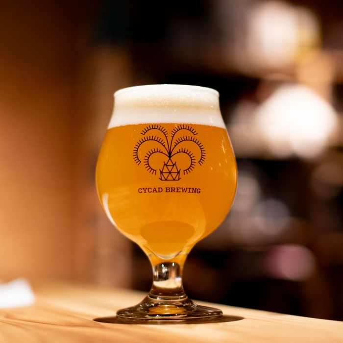 サイカドブルーイング