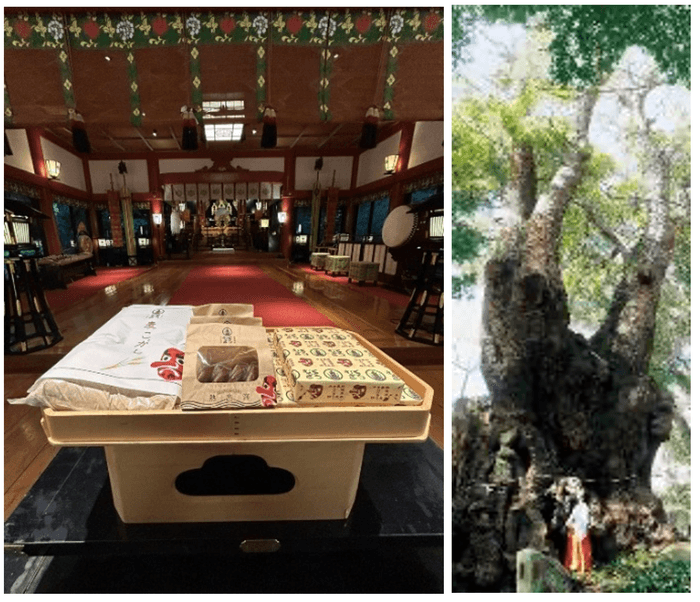 黒麦まんじゅうとは