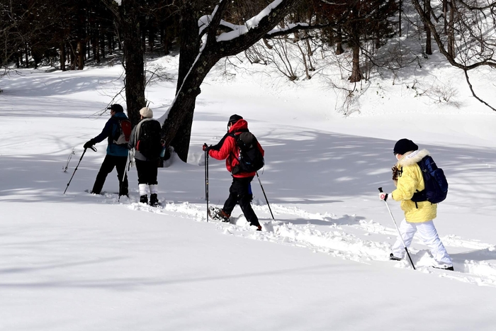 体験の例:秘境の白銀に魅せられる尾瀬山麓スノーシューツアー