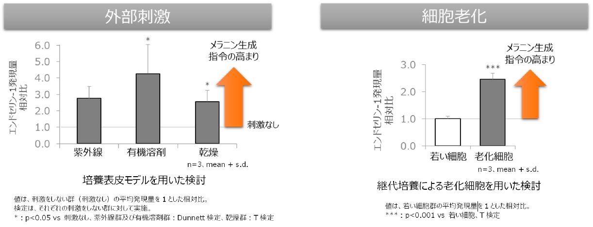 図2 外部刺激や細胞老化によるメラニン生成指令の上昇