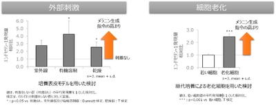図2　外部刺激や細胞老化によるメラニン生成指令の上昇