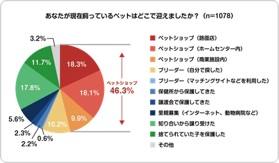 【ペット調査2022】ペットとのライフスタイルに関する調査を実施