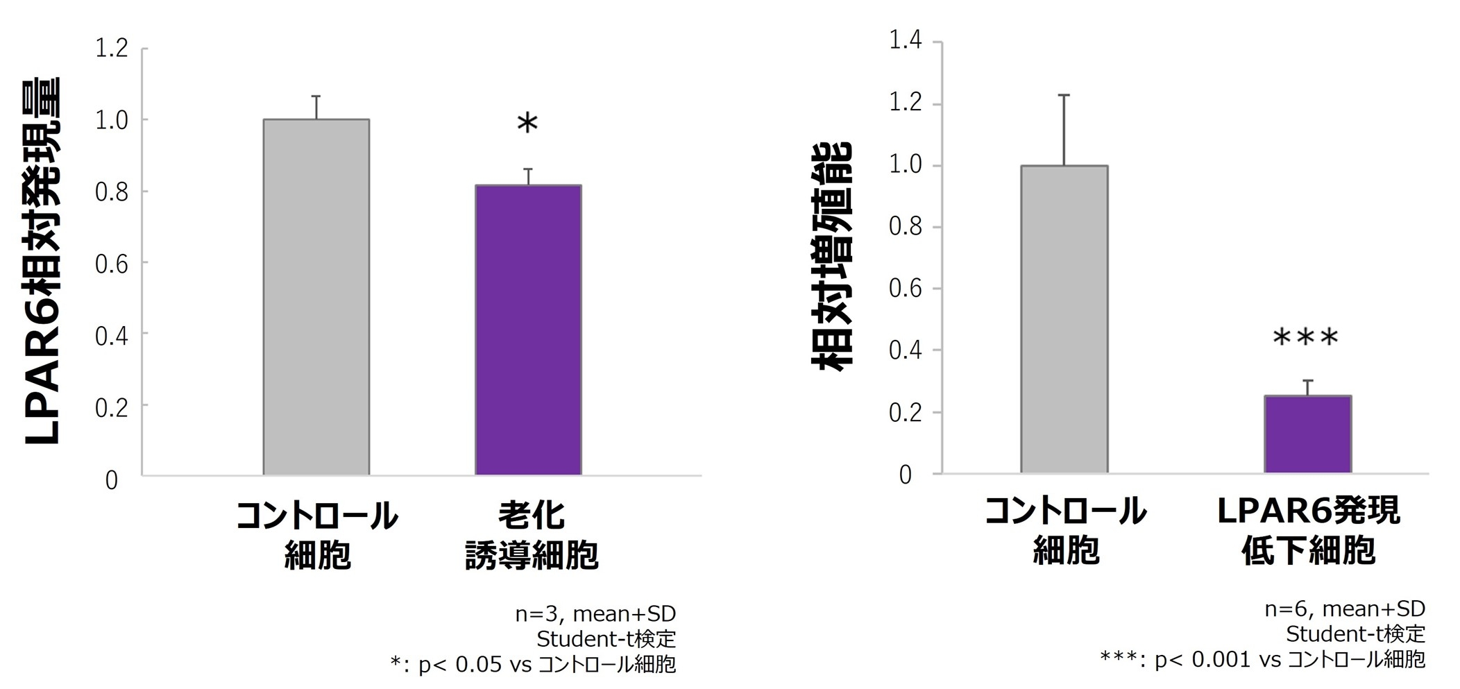 図5.老化を誘導した毛包上皮細胞のLPAR6発現低下(左)、図6.LPAR6発現を低下させた毛包上皮細胞における増殖能の低下