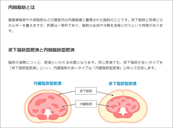 豊富なダイエットコンテンツ表示イメージ