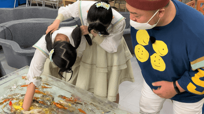 w6nLv9hWJRPic0EhQRQC.png?w=940&h=940