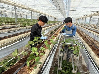 w6qgFZ4sT18wbRdjiJVD.jpg?w=940&h=940