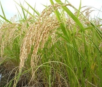 w7Zh99lfjo9Sd72tqaeM.jpg?w=940&h=940