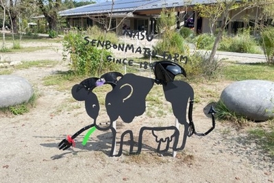 w7fab7jAds9pdbe2tbws.jpeg?w=940&h=940