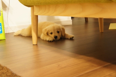 w7jBMQGiM3Y2pyMAXOdl.jpg?w=940&h=940