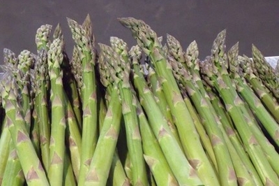 w7sqbTnYMxVVuQyvmLhR.jpg?w=940&h=940