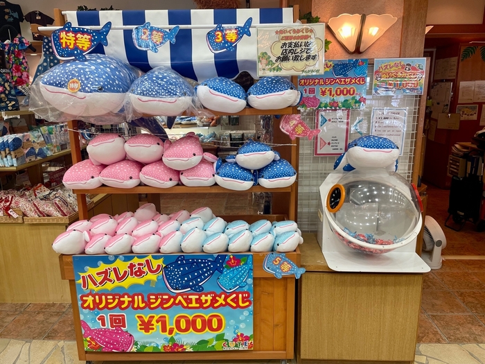 海洋博公園内 ショップやんばるの杜　「ぬいぐるみくじ」(ハズレなし)