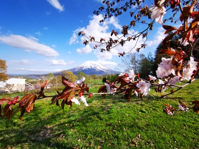 wAtwP4ZvzoiROwqoKLMT.jpg?w=940&h=940