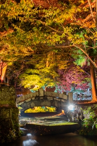 wBBMuLDwKUiwQL1tIoQu.jpg?w=940&h=940