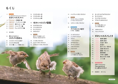 『せかいのスズメ』もくじ