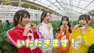 アイドルが本格的な農業を実践！ YouTube番組「虹のコンキスタドールのレインボーファーム」を配信開始！ ｢ゆるふわちゃんねる｣でＪＡタウンの商品の魅力を発信