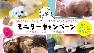 wDJy3sUKD65GHnTKQW9e.jpg?w=940&h=940