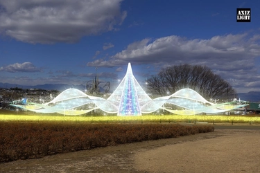 マリーゴールドの丘 イルミネーション大型リニューアル！ 15万球の煌めき装飾は11月22日から！