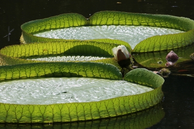 wE6i7dRwZX2oOqwFCkc4.jpg?w=940&h=940