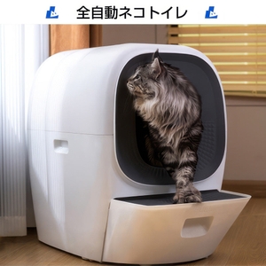 wFLi3uNwIyLgDnQy7BVf.jpg?w=940&h=940