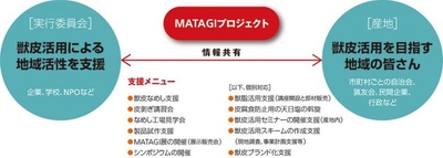 wFXS8AXKcz8JoZiaF9Tb.jpg?w=940&h=940