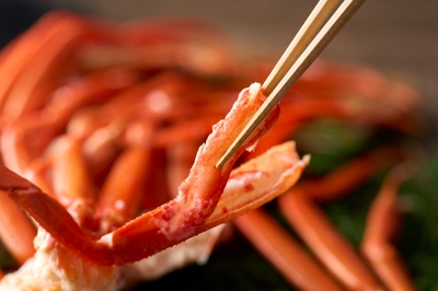 wGhA4vL0ir5uXLTIzKVK.jpg?w=940&h=940