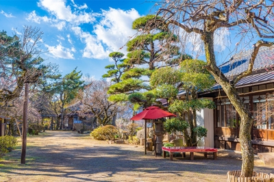 wHMO1Iwy3quECCAAUImR.jpg?w=940&h=940