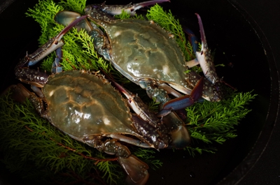 wI0NHfxJzdL3UMTwarY6.jpg?w=940&h=940