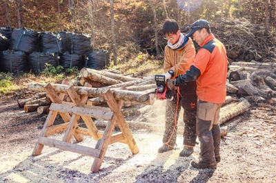 wI5baJLOm8l2y7yRwnr6.jpg?w=940&h=940