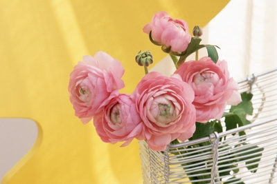 wIHyEPN4kvFN95H2CSQ5.jpg?w=940&h=940