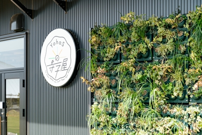 wIPC4DdCzMN9l6h9k8QJ.jpg?w=940&h=940