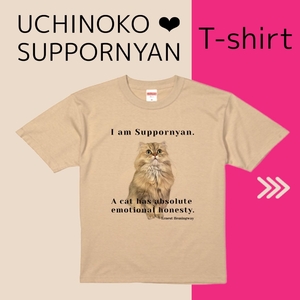 wIygJeQ3WR2e0o5MPEjG.jpeg?w=940&h=940