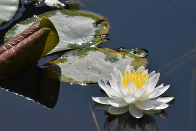 wJ3rdDHO376okj7qyrHP.jpeg?w=940&h=940