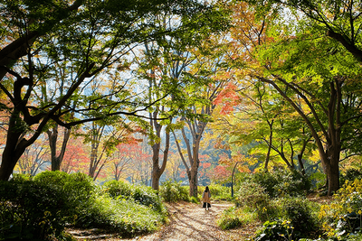 wJVNYGzm6W4wPhwpnCtS.png?w=940&h=940