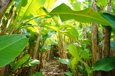 wK5J9NmIa2mcXAmEnFAE.jpg?w=940&h=940