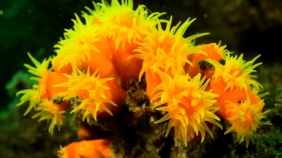 wLNxDR0CI64lpORrQD9i.jpg?w=940&h=940