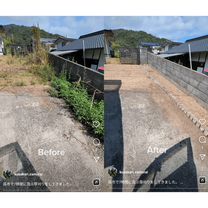 長年の空き家のヨモギ徹底除草