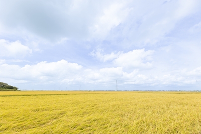 wMaeZXTs9qauAXxgC4wI.jpg?w=940&h=940