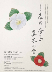 wMypEEkKfPSfy3AwvDEP.jpeg?w=940&h=940