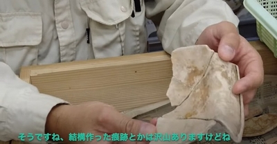 wNX0CZwlqdnax3EDbw8r.jpg?w=940&h=940