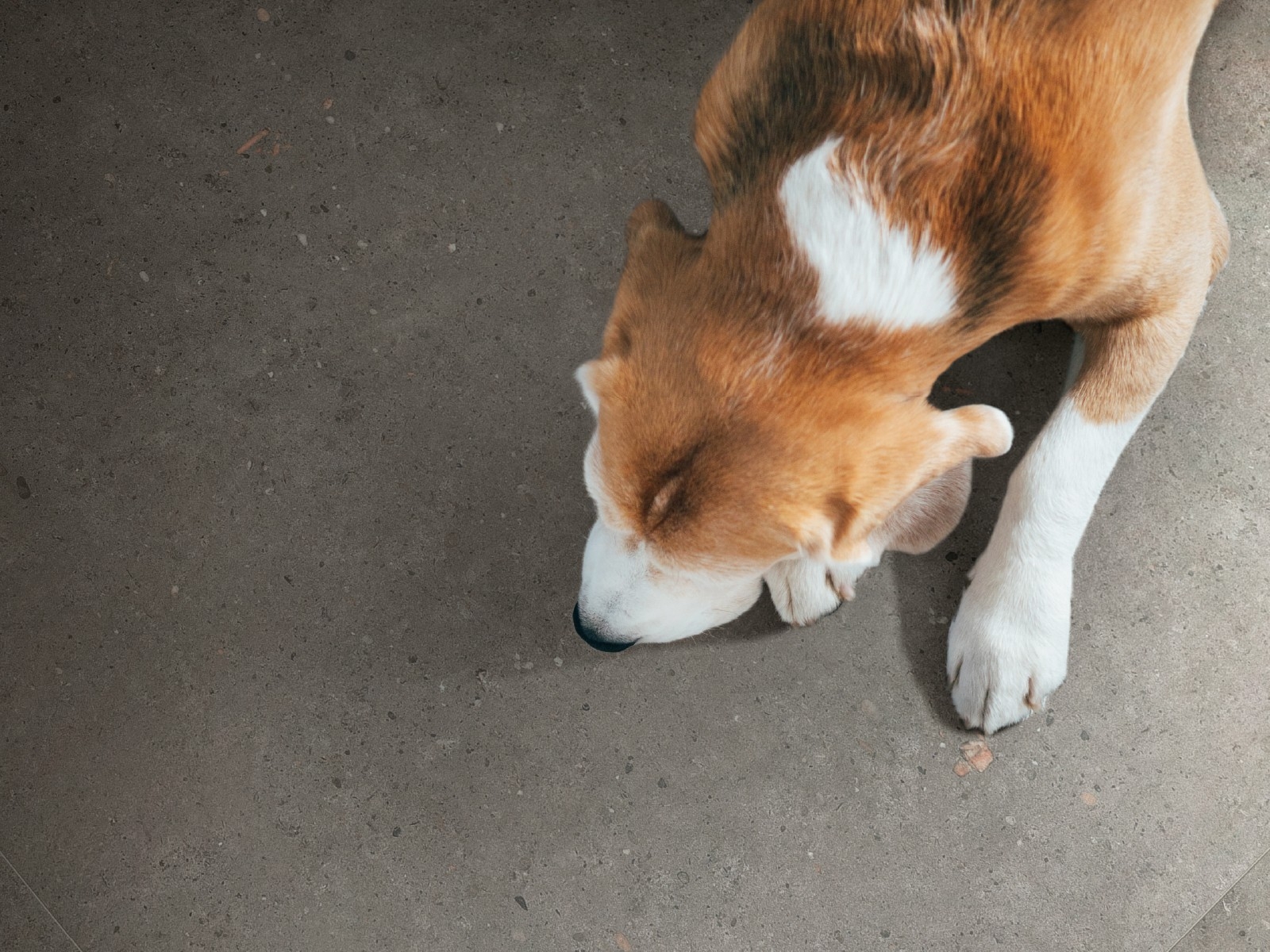 タイルを使った施工例写真を募集！名古屋モザイク工業『第16回Instagramフォトコンテスト』開催