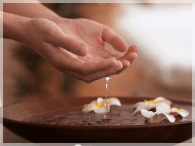 wNshN2fz8G76Sd5g87dd.png?w=940&h=940