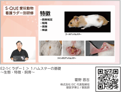wNtwILXYTkq5UT51cOz1.png?w=940&h=940