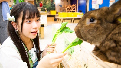 wOIi38gNgr68UWAch1vK.jpg?w=940&h=940