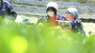 wOkClMsCWkG245lKtrzT.jpg?w=940&h=940